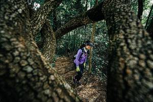 BIB: 
                            <button type="button" onclick="openModal(25392248)" class="btn btn-primary btn-sm float-right btn-popup" data-toggle="modal" data-target=".modal-high-quality">
                        <i class="fas fa-shopping-cart"></i> Add to Cart
                    </button>
                                            <button type="button" onclick="isThisMe(25392248, true)" class="btn btn-success btn-sm float-right btn-popup btn-isme hidden" data-toggle="tooltip" data-placement="bottom" title="นี่คือรูปของคุณใช่ไหม คลิกที่นี่เพื่อเอาเข้าอัลบั้ม">
                        <i class="fas fa-plus"></i> Add to album
                    </button>
                    <button type="button" onclick="isThisMe(25392248, false)" class="btn btn-warning btn-sm float-right btn-popup btn-isnotme hidden">
                        <i class="fas fa-ban"></i> Remove from album
                    </button>